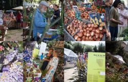 Roma, la Conserva della neve all'Orto Botanico