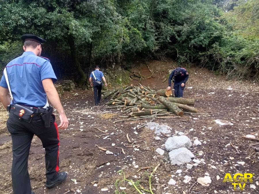 Carabinieri il legname sequestrato a Carpineto Romano