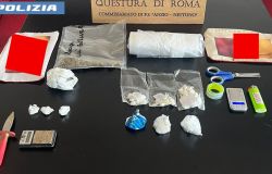 Anzio, coltivava marjuana, arrestata 42enne e sequestrata oltre 1,5 kg. di droga