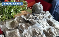 Polizia Anzioi la droga sequestrata