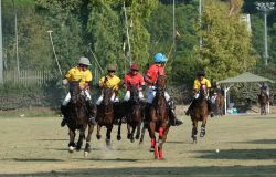 Polo, Campionato italiano, edizione 2024 da record, nove squadre iscritte, domani il via al Roma Polo Club