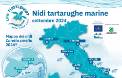 2024 i nidi di tartaruga registrati