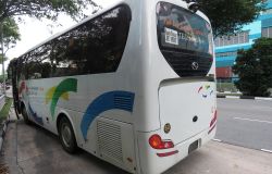 Bus turistico