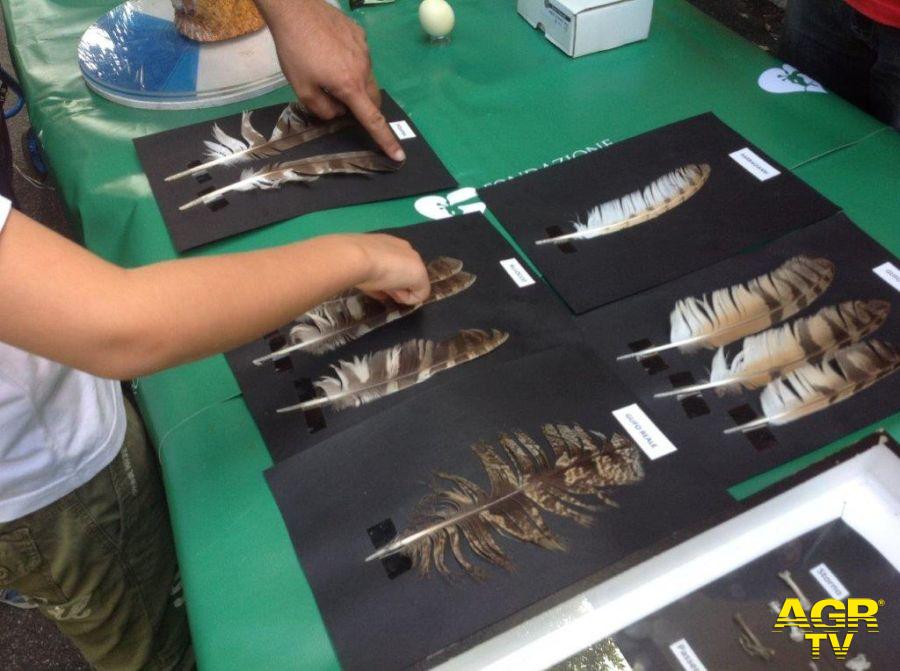 Roma, Incontra la Natura al Bioparco, domenica laboratori interattivi per i bambini