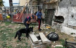 Blitz dei Carabinieri a Roma: Arresti e Sequestri di Sostanze Stupefacenti dal Centro alla Periferia