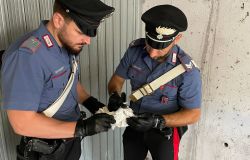 Blitz dei Carabinieri a Roma: Arresti e Sequestri di Sostanze Stupefacenti dal Centro alla Periferia