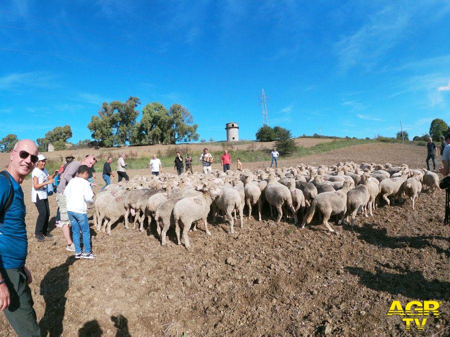 Transumanza da Ostia Antica a Dragona