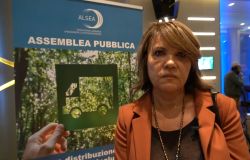 Betty Schiavoni, Vicepresidente ALSEA