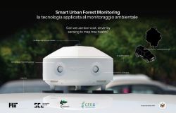 Smart Urban Forest Monitoring