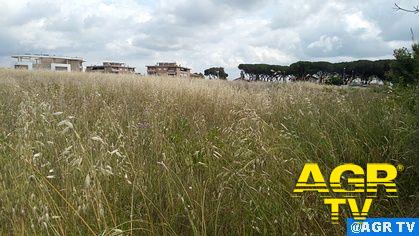 Presentata dal Comitato di quartiere Acilia - Monti di San Paolo una petizione popolare Presentata dal Comitato di quartiere Acilia - Monti di San Paolo una petizione popolare