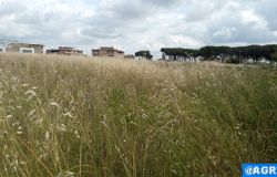 Presentata dal Comitato di quartiere Acilia - Monti di San Paolo una petizione popolare