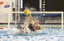 Pallanuoto, SIS ROMA a mille, battuto il Brizz Catania 17- 4