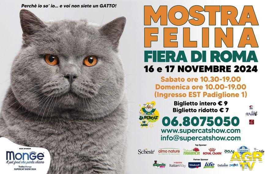 Super Cat Show mostra felina 2024