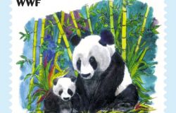 WWF compie 50 anni, festa da Mattarella