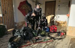 Filacciano, sequestrati dai Carabinieri durante un pattugliamento 16 kg di marjuana nascosti in un bosco