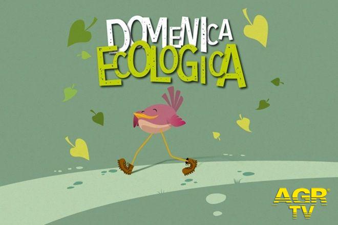 Domenica ecologica dal sito del Campidoglio