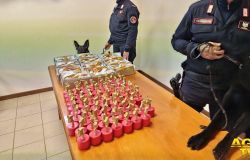 Carabinieri le armi e la droga sequestrata a Dragoncello