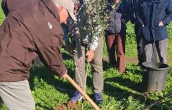 Festa dell'albero 2024 di Legambiente, Roma-Ottavia, nuove alberature nell'area verde su via Vivi Gioi