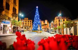 Sorrento Albero in piazza Tasso