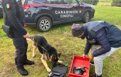 Anzio, droga ed armi, sequestrati 4,8 kg. di hashish e tre scacciacani modificate, in manette tre giovani