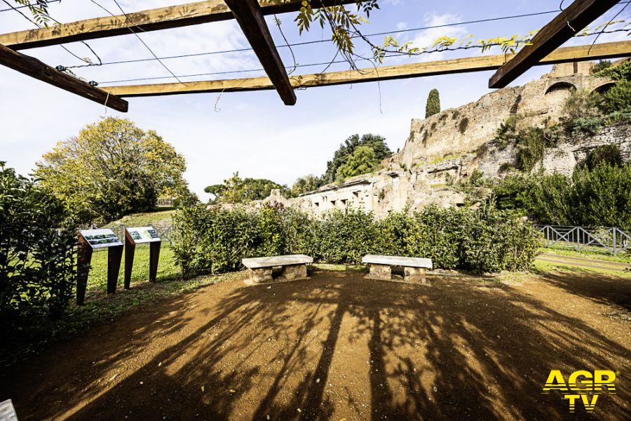 Parco archeologico del Colosseo, nasce l'"Oasi Aurum Coronarium", storia, natura e scienza al centro del progetto