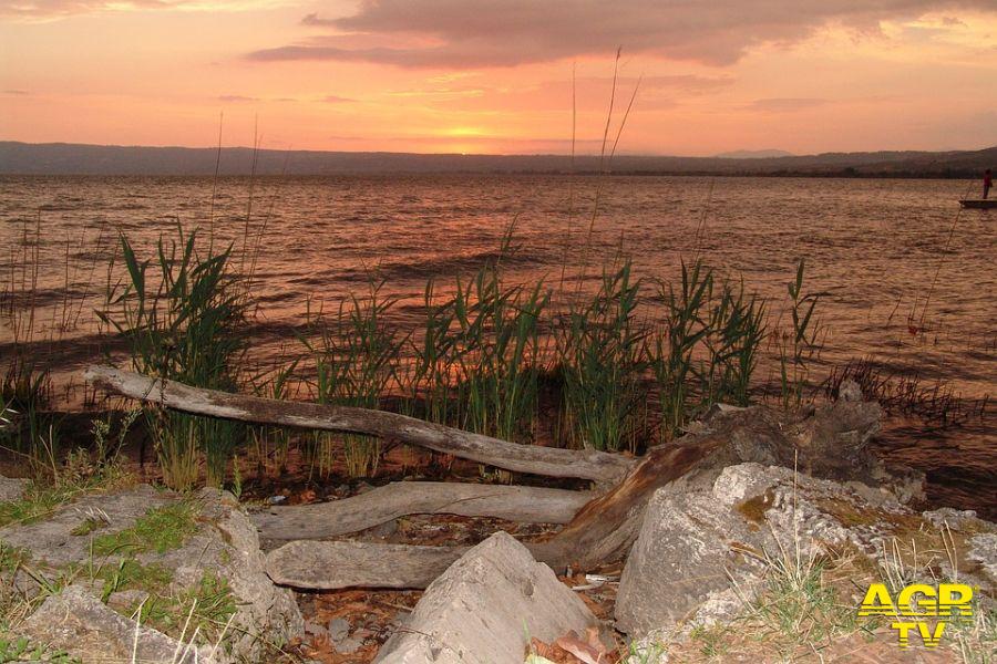 Marta sul lago di Bolsena foto pixabay