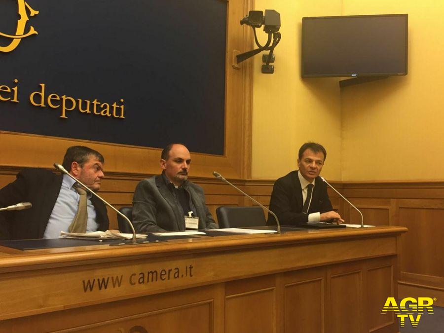 Ostia abbandonata al degrado, chiesto incontro con Prefetto Ostia abbandonata al degrado, chiesto incontro con Prefetto