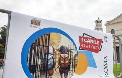 Canile va in città locandina