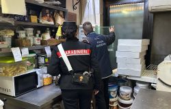 Roma, controlli quartieri nord, 21 denunce, 68mila euro di furto di energia elettrica, sequestrato un cantiere e 6 kg. di alimenti