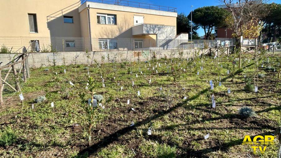 XV Municipio, al Labaro il primo progetto di microforesta eco-pedagogica del territorio