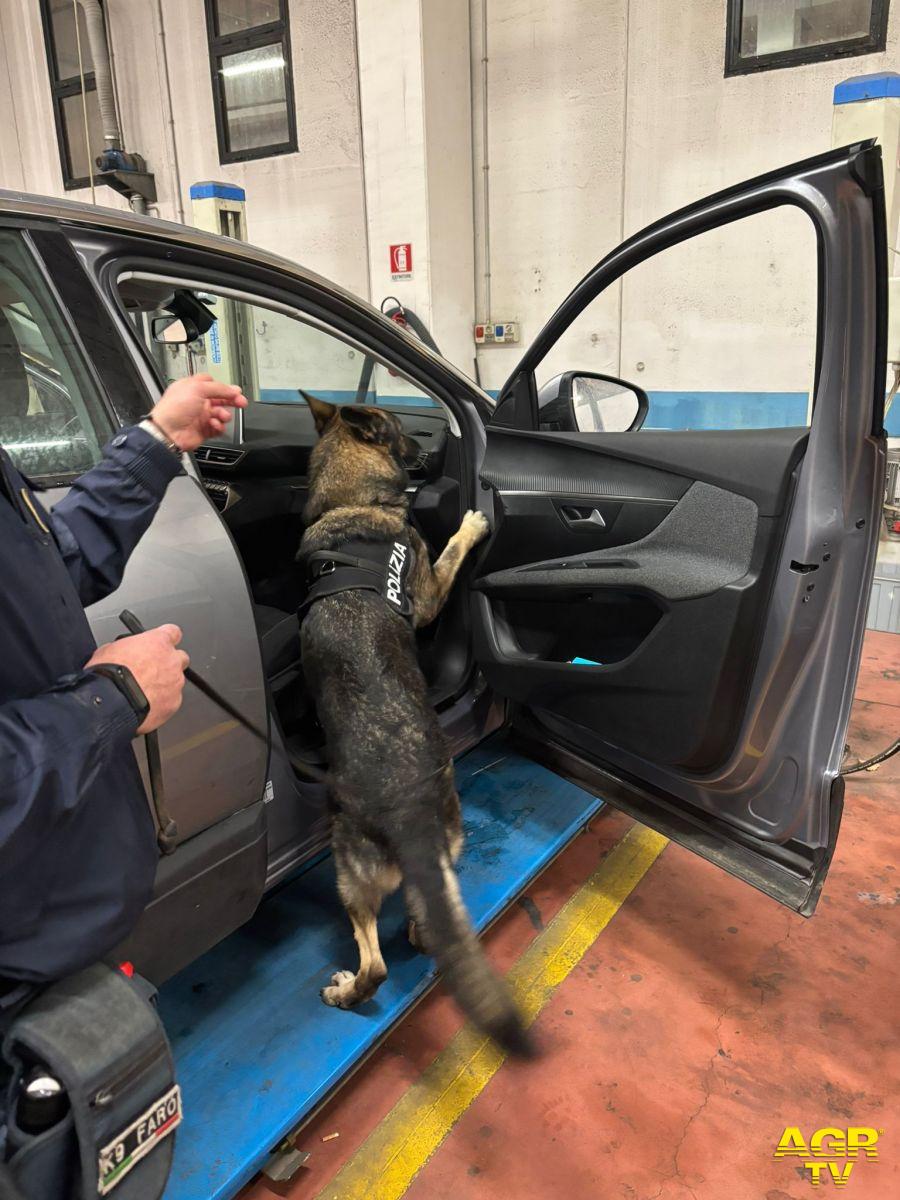 Polizia Faro cane antidroga cerca lo stupefacente nell'abitacolo