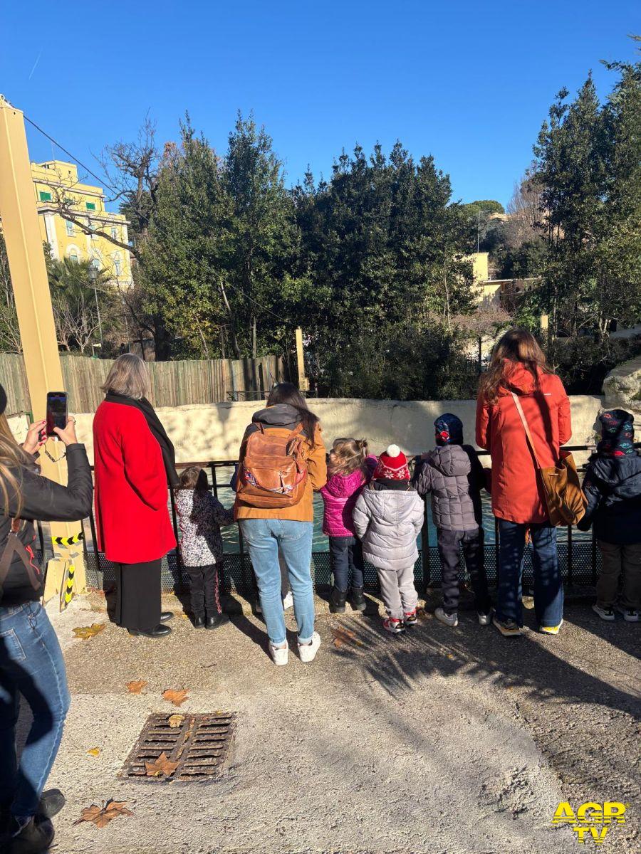 Natale in Natura bimbi Case Famiglia al Bioparco