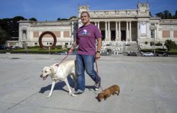 Al museo con il proprio cane...Dogs & Museum Road Show il pet-turismo culturale