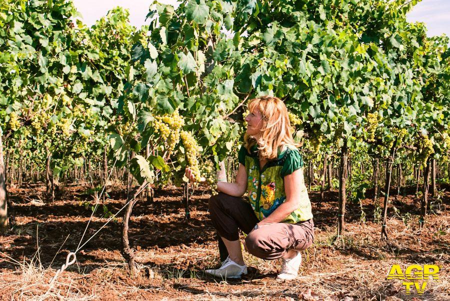 Vino vegano... a Lanuvio è certificato dal 2022