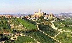 Il Barolo simbolo del Piemonte a tavola Il Barolo simbolo del Piemonte a tavola