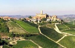 Il Barolo simbolo del Piemonte a tavola