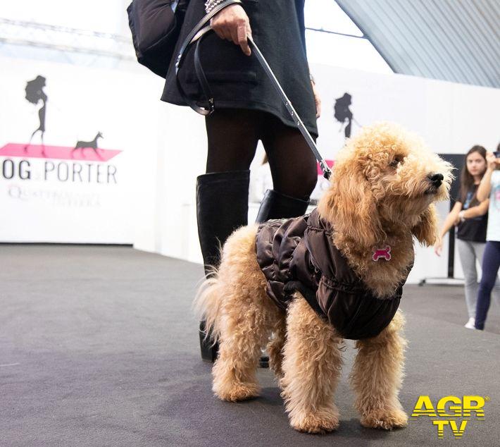 Quattrozampeinfiera gli animali protagonisti della fiera