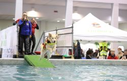 Quattrozampeinfiera gli animali protagonisti della fiera