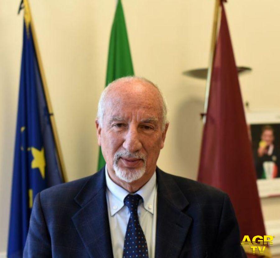 Mario Falconi, Presidente del X Municipio di Roma