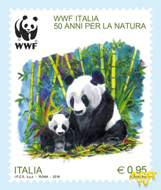 WWF fermiamo il bracconaggio WWF fermiamo il bracconaggio