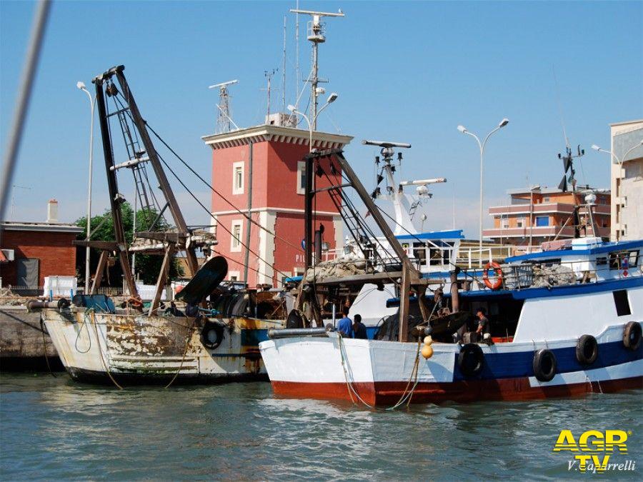Fermo della pesca, nel Lazio lo stop dal 12 giugno all'11 luglio