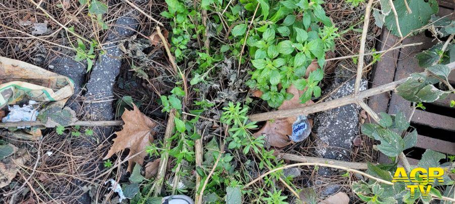 Ostia, monitoraggio delle transenne "perenni" che creano disagi e pericolosità alla circolazione