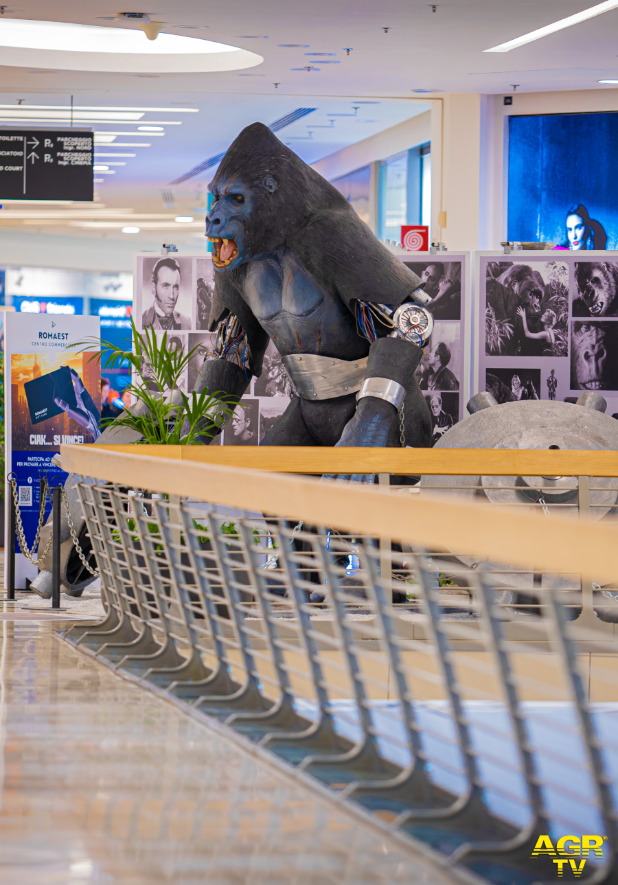 Emozioni dal cinema...i capolavori della settima arte in esposizione al Centro commerciale Roma Est