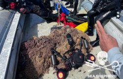 Sea Shepard 500 metri rete fantasma recuperati ad Ognina