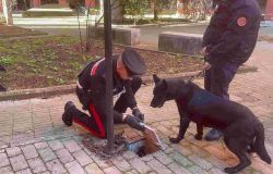 Carabinieri operazione antidroga