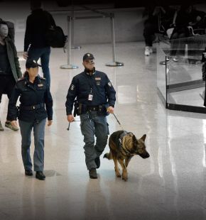 Arrestato a Londra trafficante internazionale di droga, era latitante dal novembre 2024