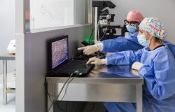 Fecondazione assistita controlli PMA foto da comunicato