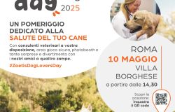 Zoetis Locandina Dog Lovers Day