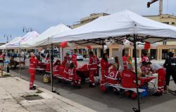Festa della Croce Rossa 2025 al Pontile di Ostia: Solidarietà, Salute, Inclusione e Sorrisi