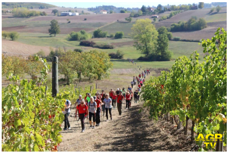Nordic Walking Nordic Walking